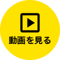 動画を見る