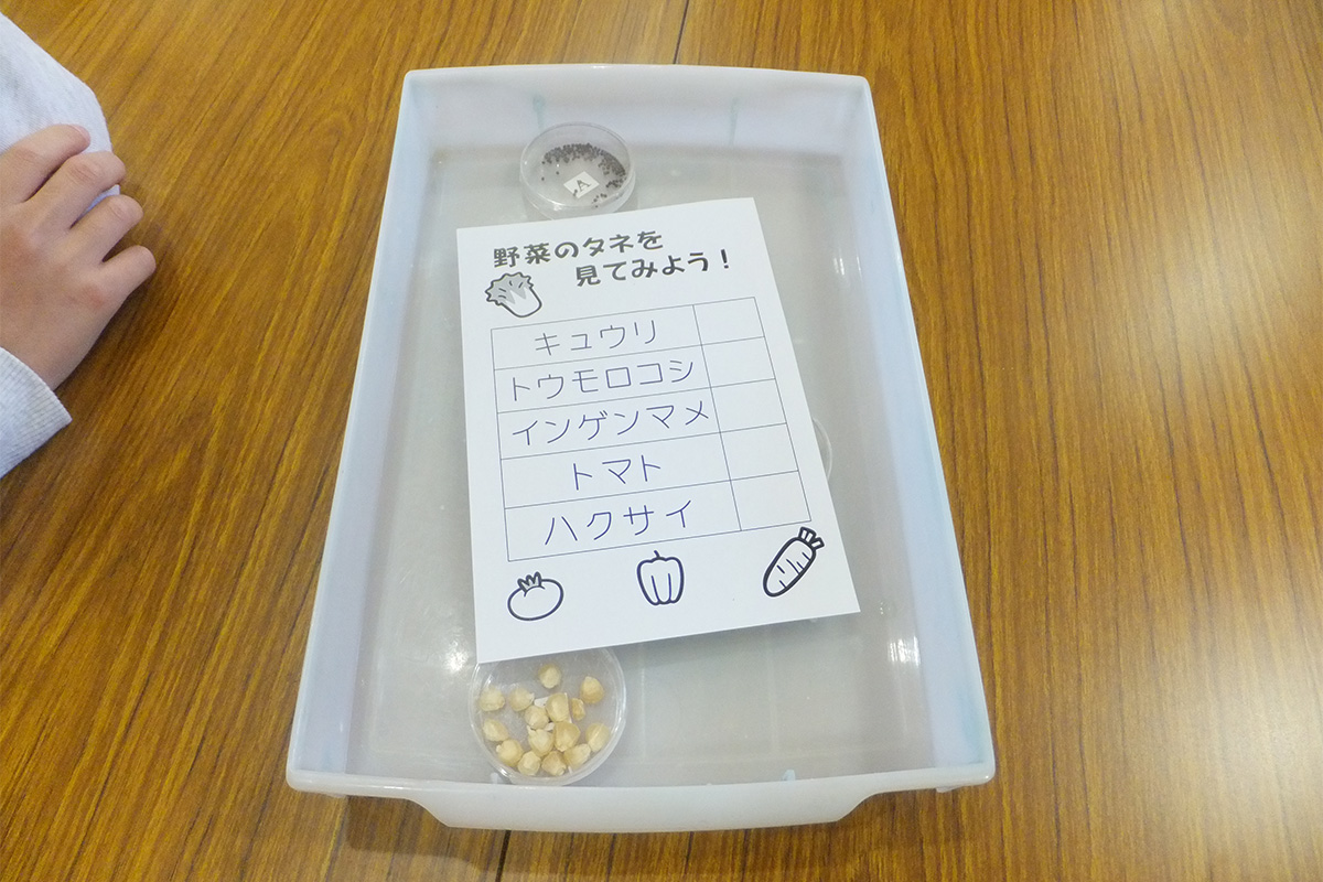 宮城県:石巻市立万石浦小学校 イメージ4 image