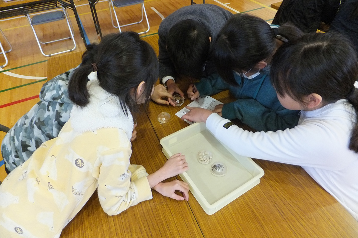 宮城県:石巻市立万石浦小学校 イメージ4 image
