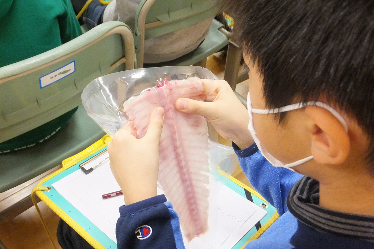 秋田県:仙北市立角館小学校 イメージ4 image