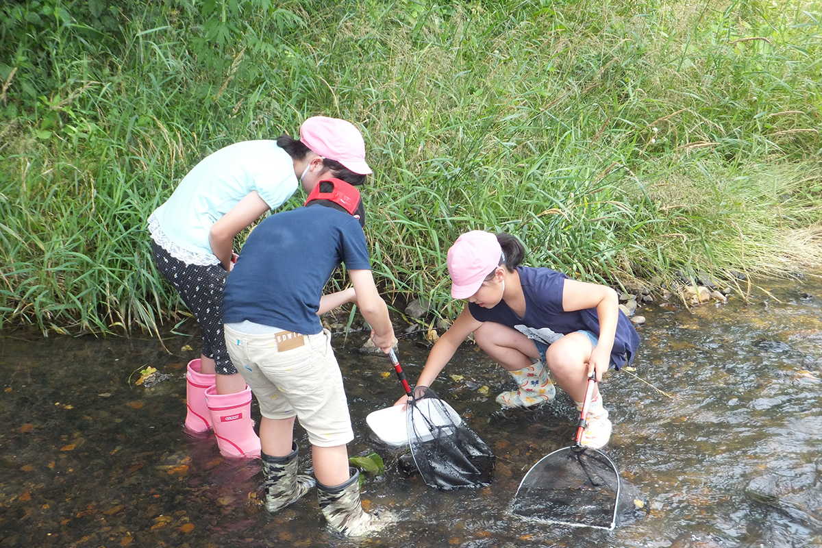 岩手県:一関市立弥栄小学校 イメージ2 image