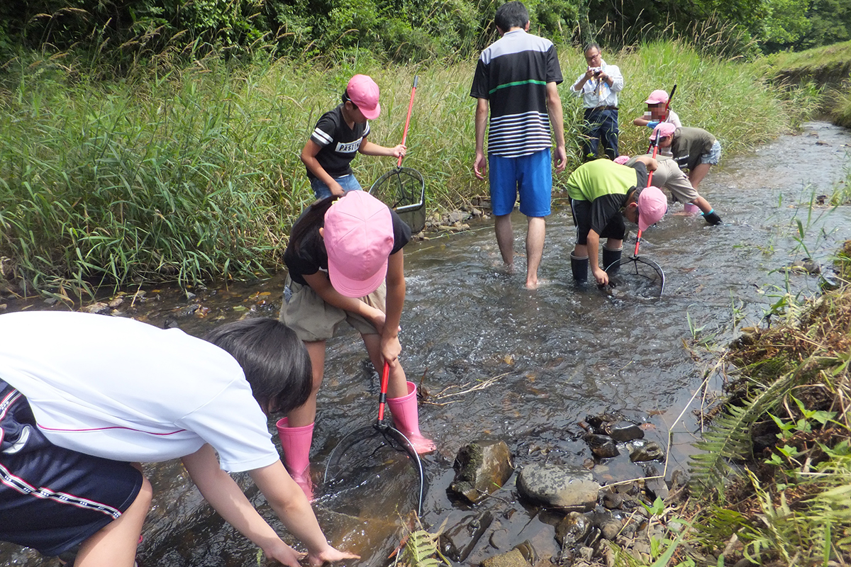 岩手県:一関市立弥栄小学校 イメージ3 image