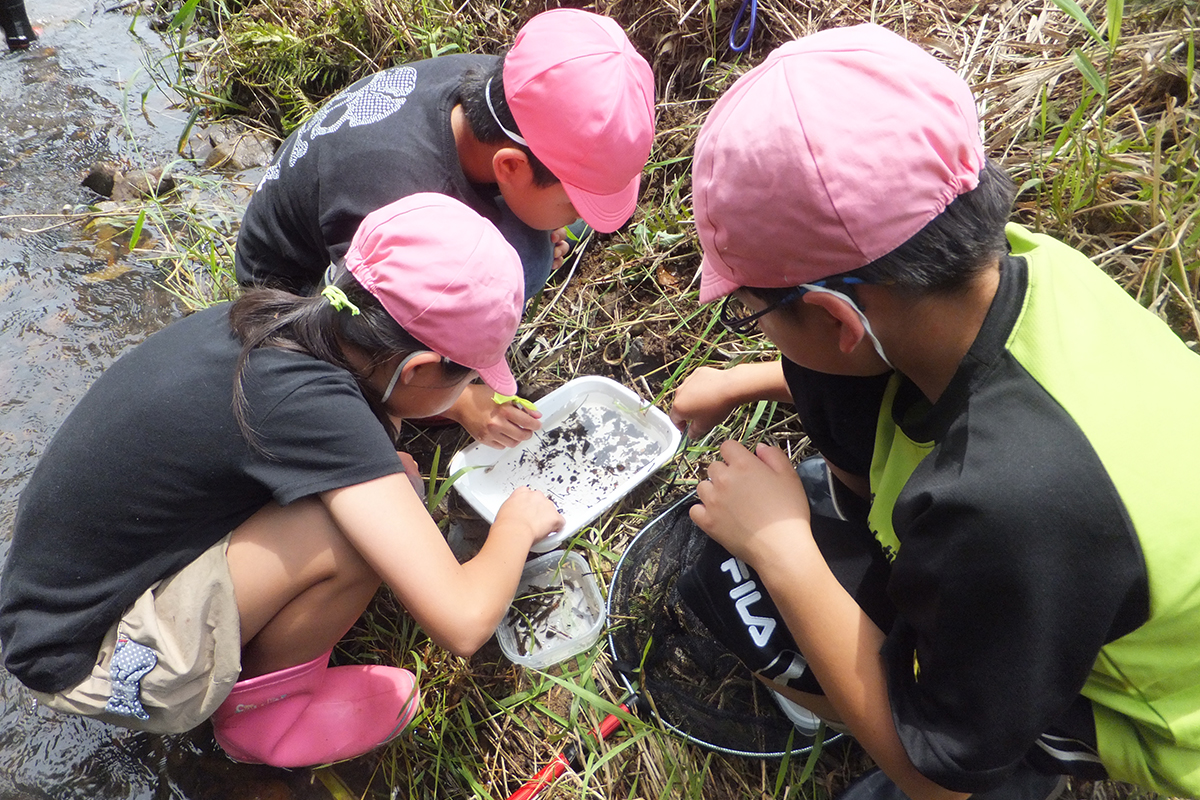 岩手県:一関市立弥栄小学校 イメージ4 image