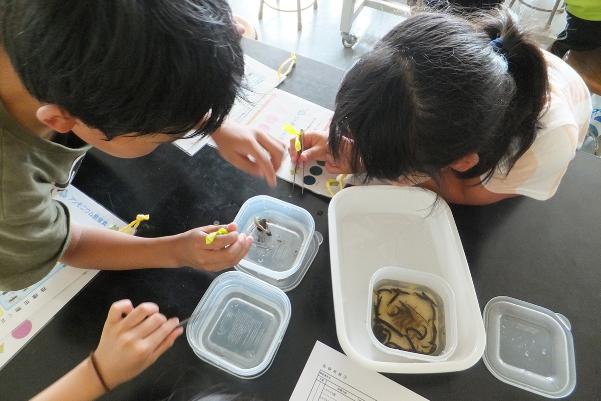 岩手県:一関市立弥栄小学校 イメージ6 image