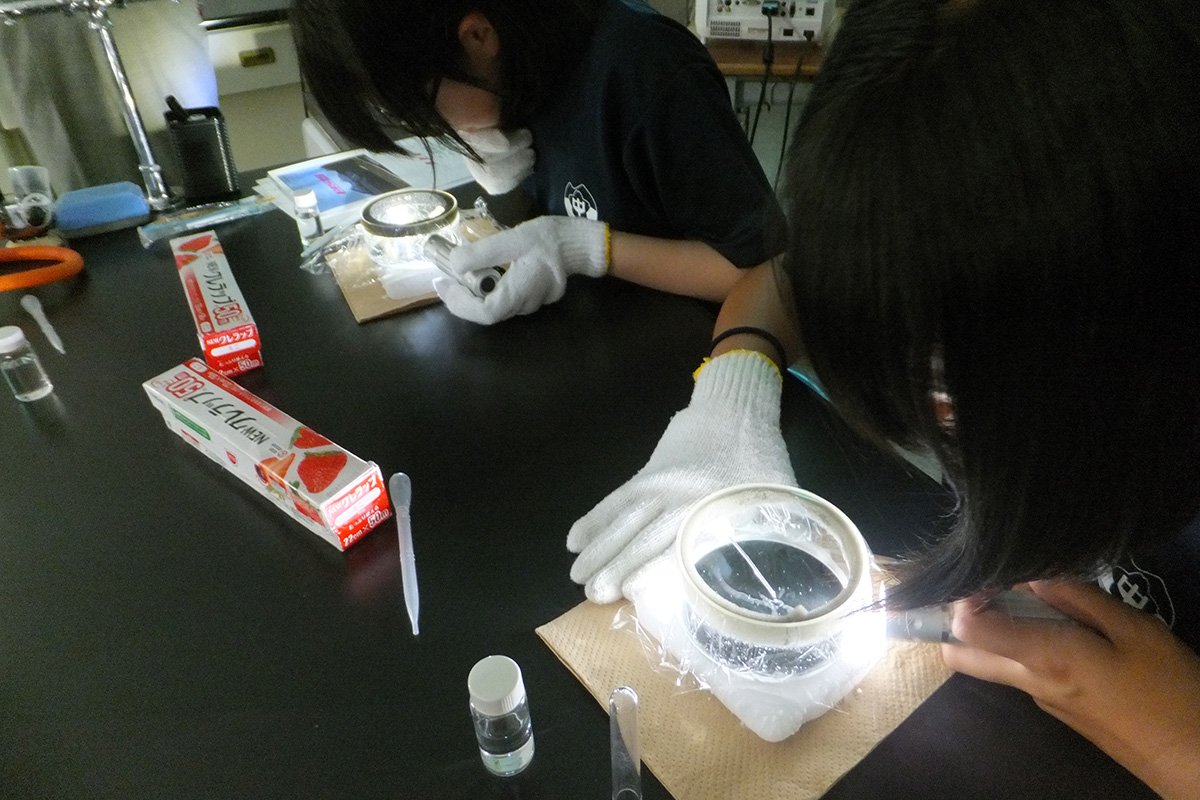福島県:北塩原村立裏磐梯中学校 イメージ3 image